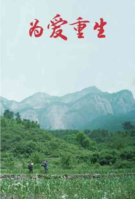 《为爱重生》免费在线播放｜剧情·中国大陆