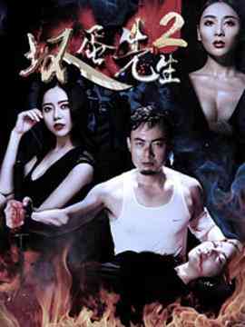 《坏蛋先生2》免费在线播放｜剧情·中国大陆