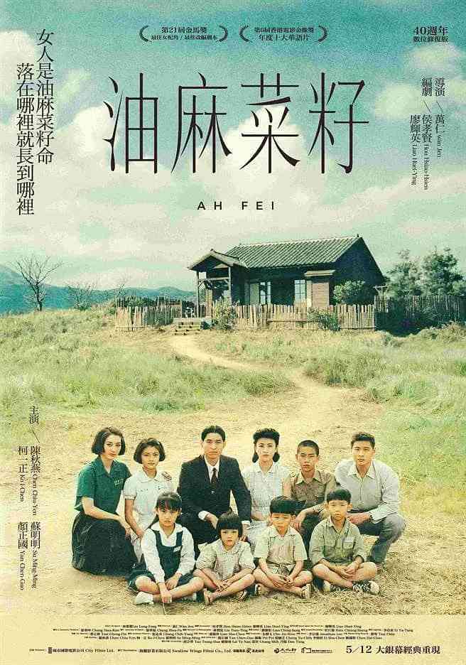 《油麻菜籽》免费在线播放｜剧情,家庭·中国台湾