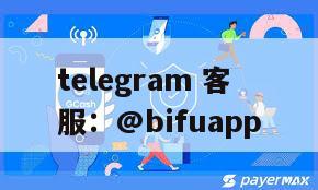 菲律宾支付通道：支持GCash代收代付与实时结算