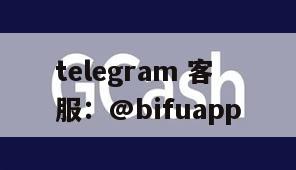 菲律宾支付系统：简化GCash支付和多通道管理